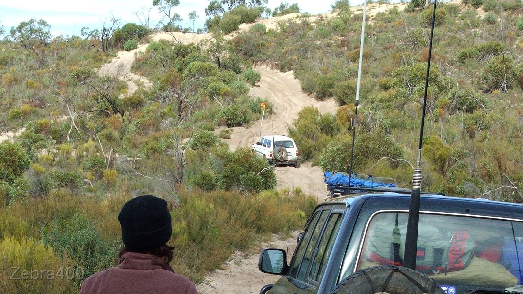 23-Alison watches Zebra take on the dunes.JPG